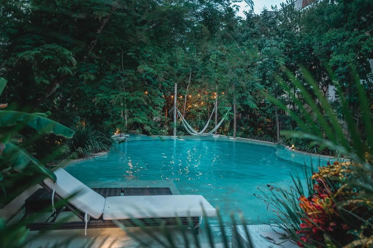 Amazing New Pent House With Private Pool!! Lejlighed Tulum