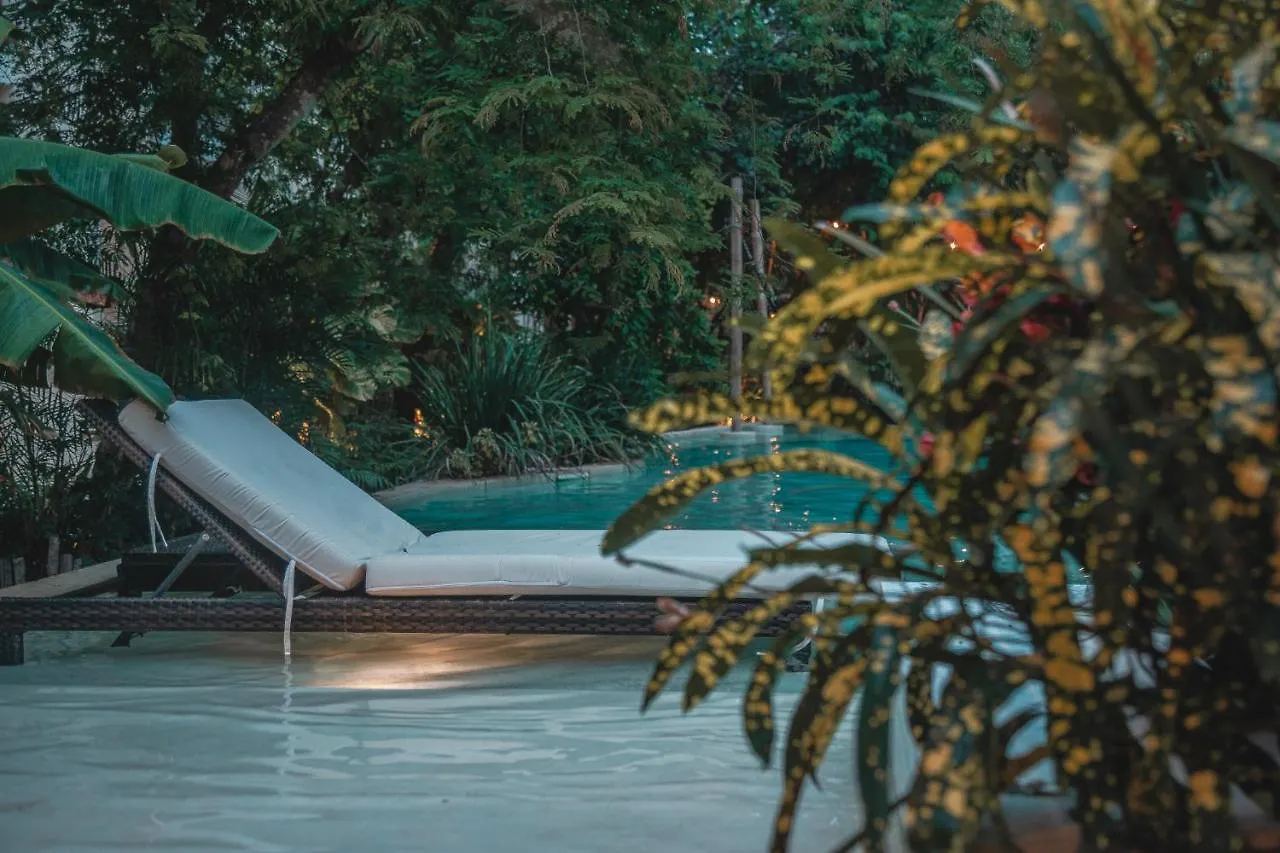 Amazing New Pent House With Private Pool!! Lejlighed Tulum