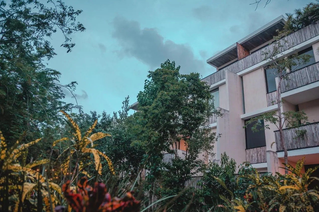 Amazing New Pent House With Private Pool!! Lejlighed Tulum