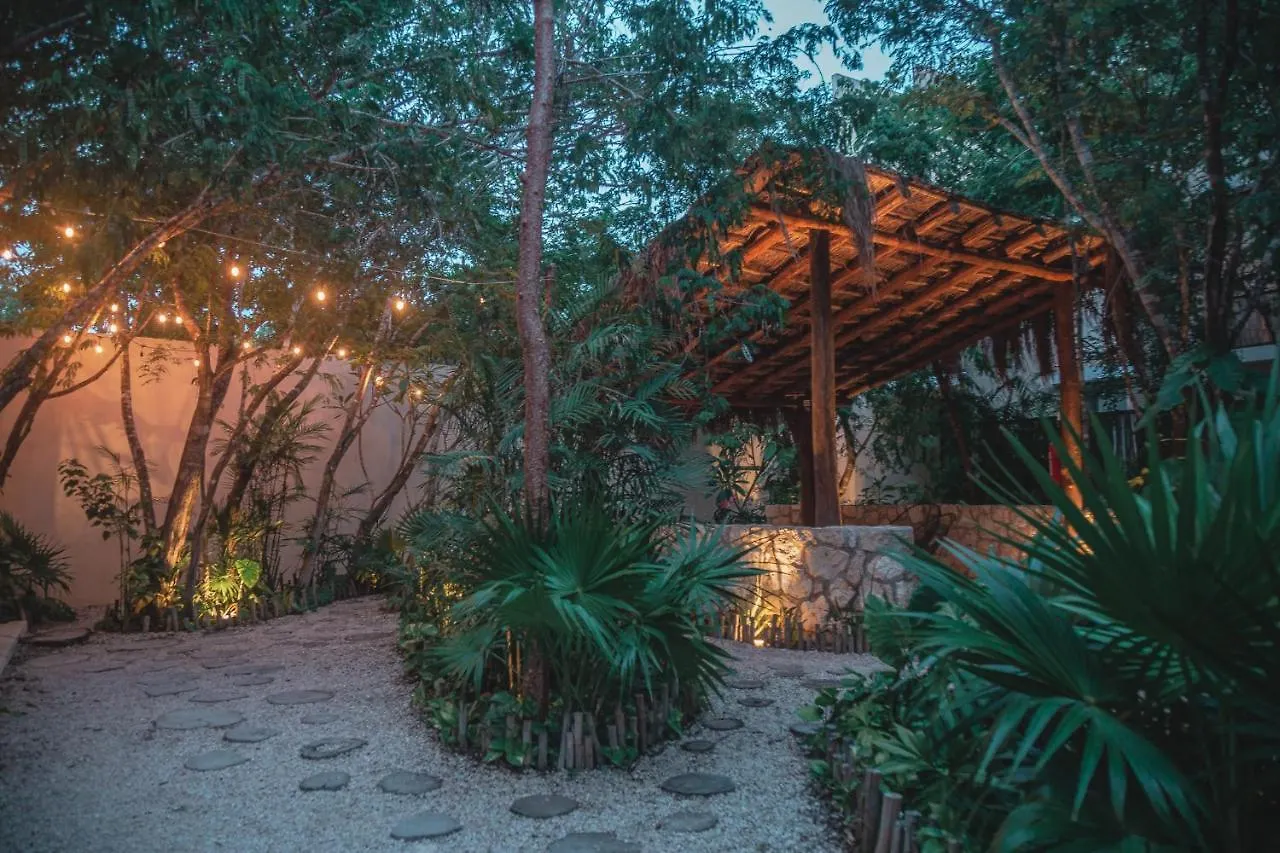 Amazing New Pent House With Private Pool!! Lejlighed Tulum