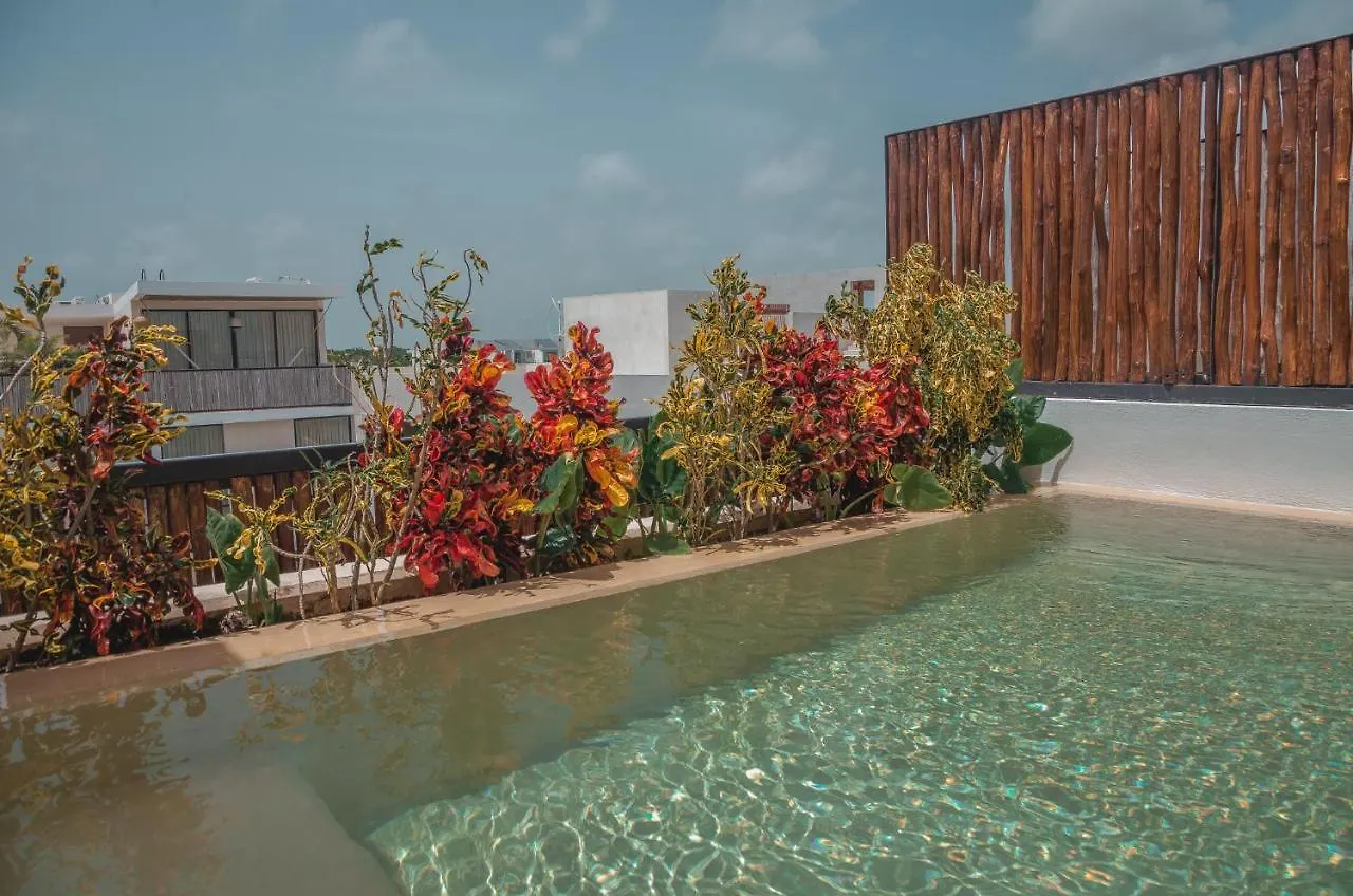 Amazing New Pent House With Private Pool!! Lejlighed Tulum